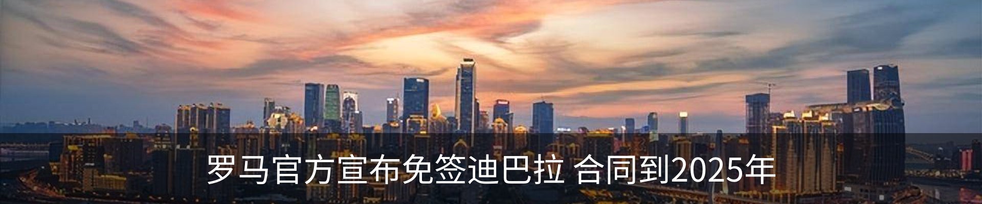 新闻动态
